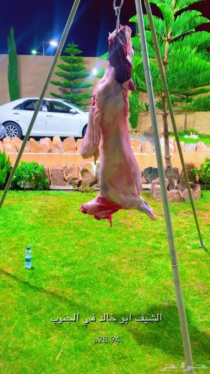 مشويات عراقيه سوريه 4