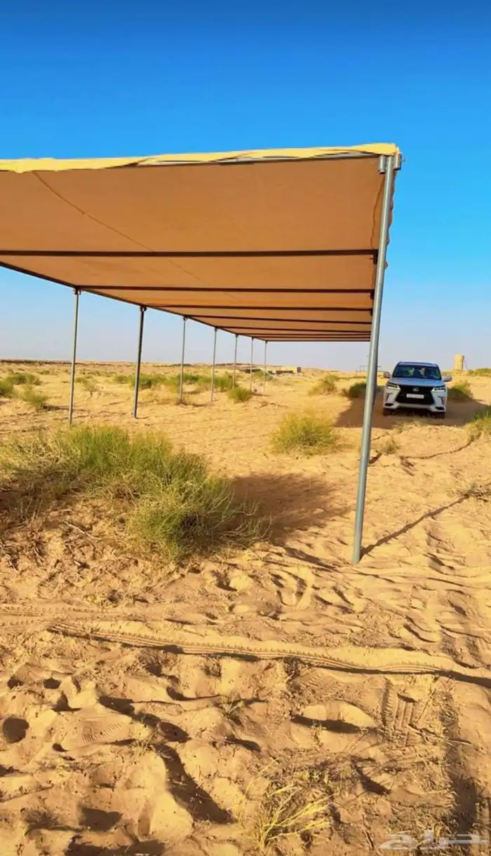 مضلات الإبل مضلت البئل مضلا الئبل حلال 4