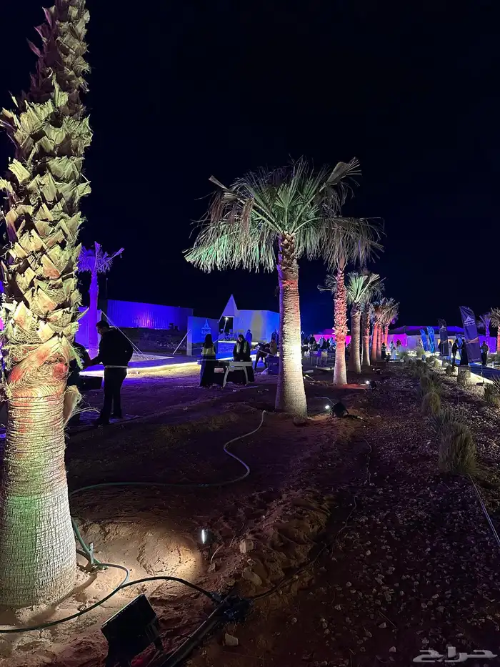 تاجير الشاشات 4