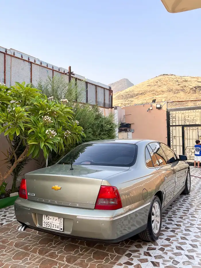 كابرس 2006 6