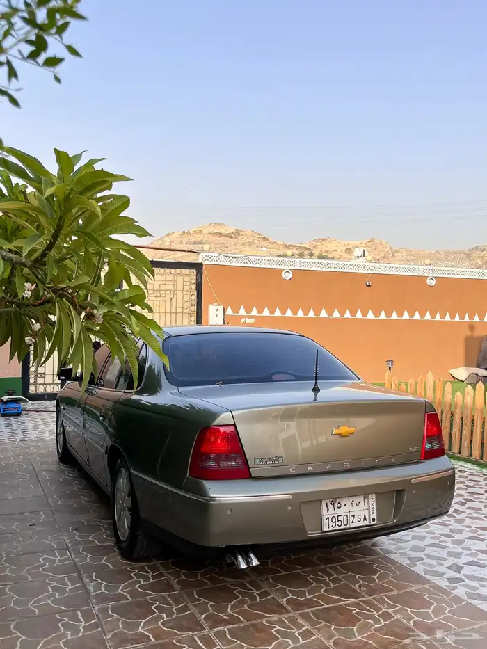 كابرس 2006 5