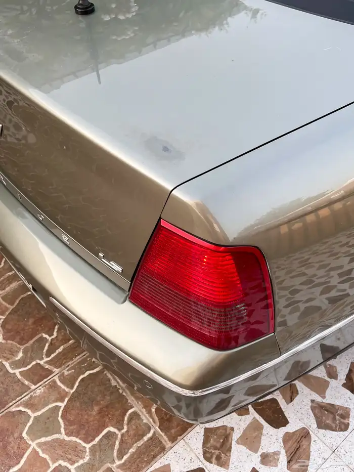 كابرس 2006 16