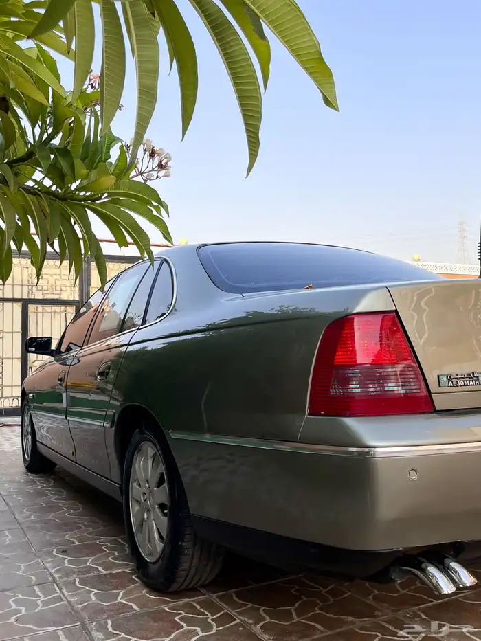 كابرس 2006 14