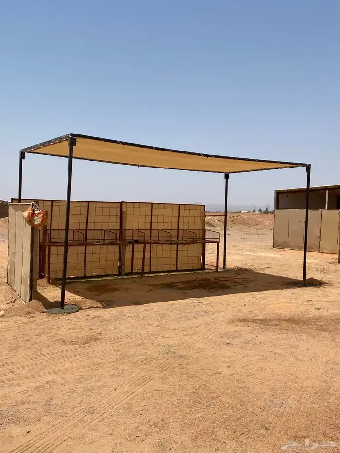مضلات الإبل مضلت البئل مضلا الئبل حلال 0