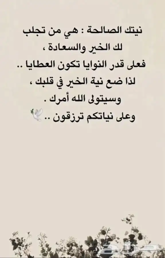 تحديث صكوك - تجديد صك - هويه عقارية - تحديث صك 0