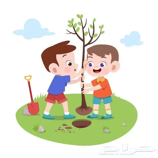 روسمات روضات ومدارس 2