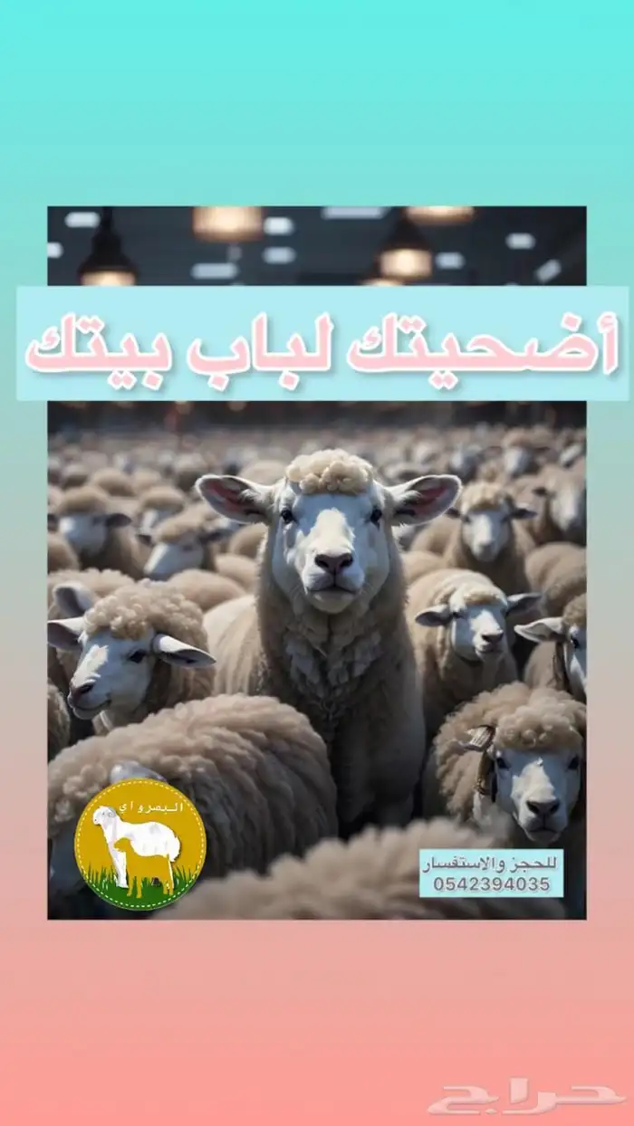 ذبيحتك لحد باب بيتك شامل الذبح والتوصيل 0