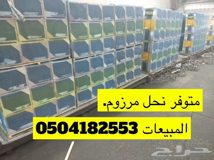 للبيع نحل مصري حايل 1