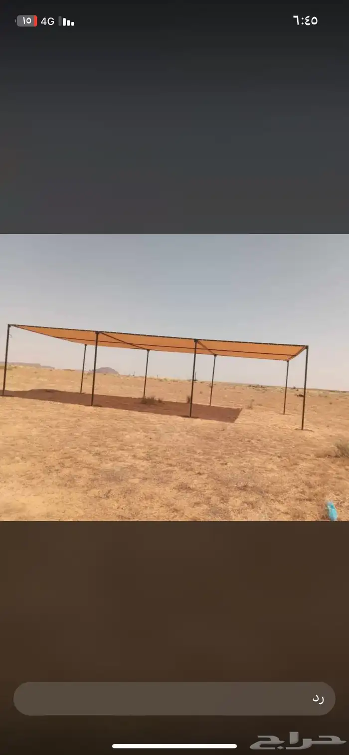 مضلات الإبل مضلت البئل مضلا الئبل حلال 2
