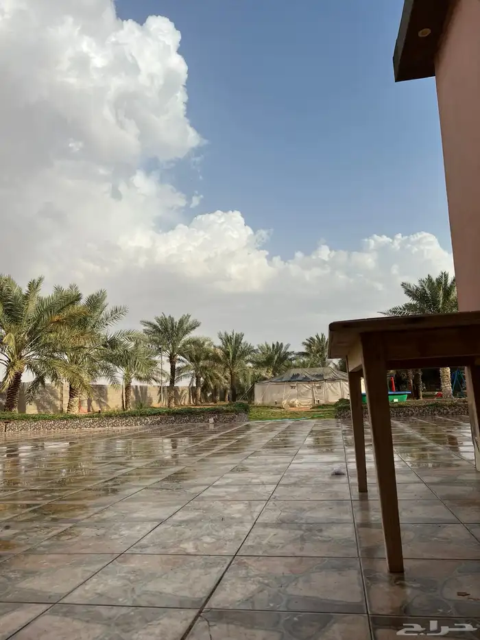 مزرعة الريف للتأجير اليومي 6