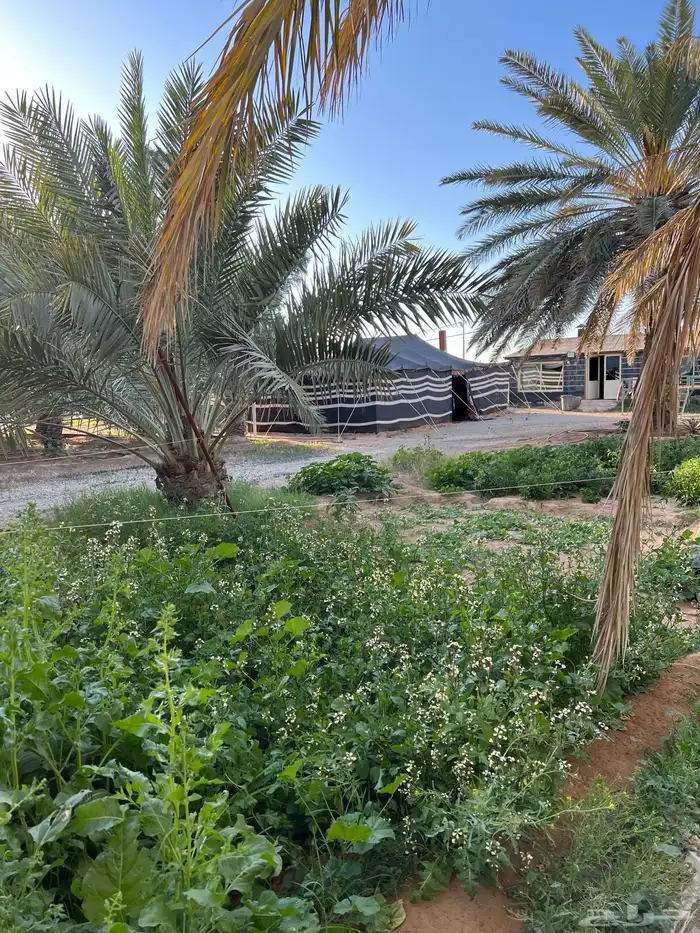 مزرعة الريف للتأجير اليومي 1