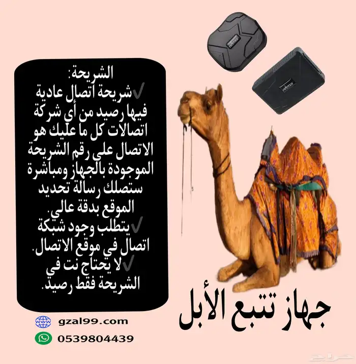تعقب وتتبع الابل والمواشي 0