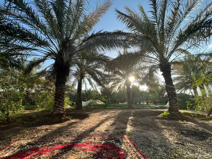 مزرعة الريف للتأجير اليومي 7