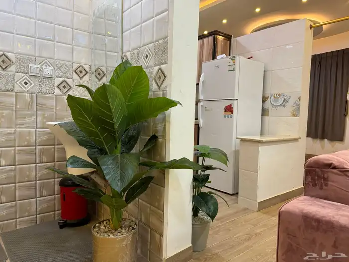 شالية نورا للايجار اليومي عرض اليوم الوطني 195 ريال فقط 10