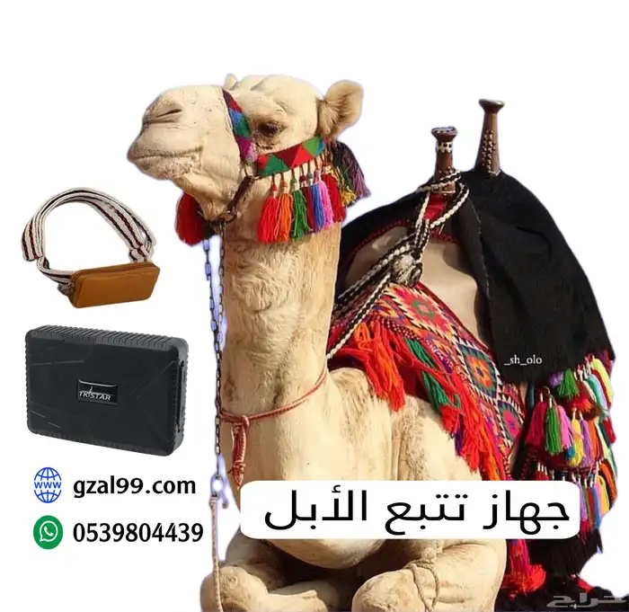 تتبع - جهاز تتبع الأبل والمواشي 0