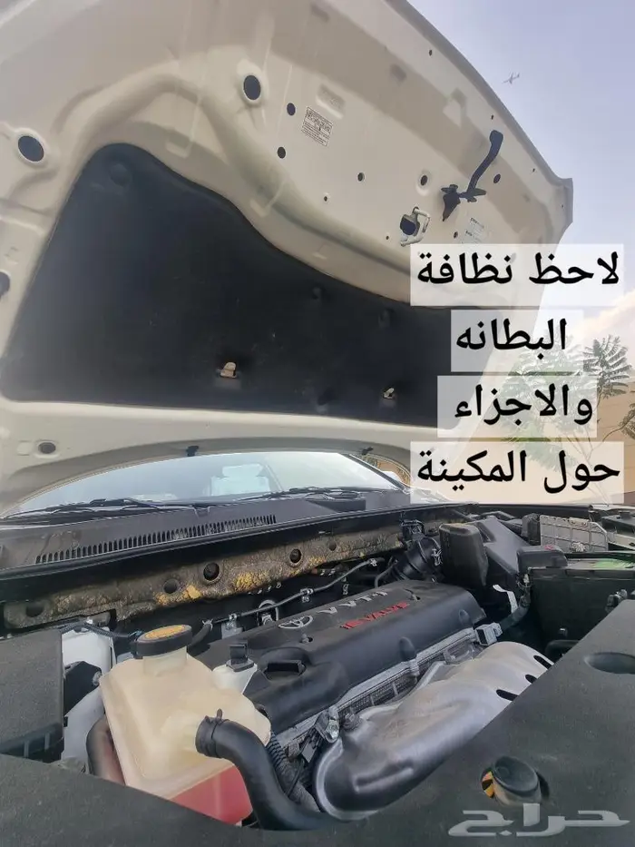 راف فور مخزن وكاله ( تم البيع) 18