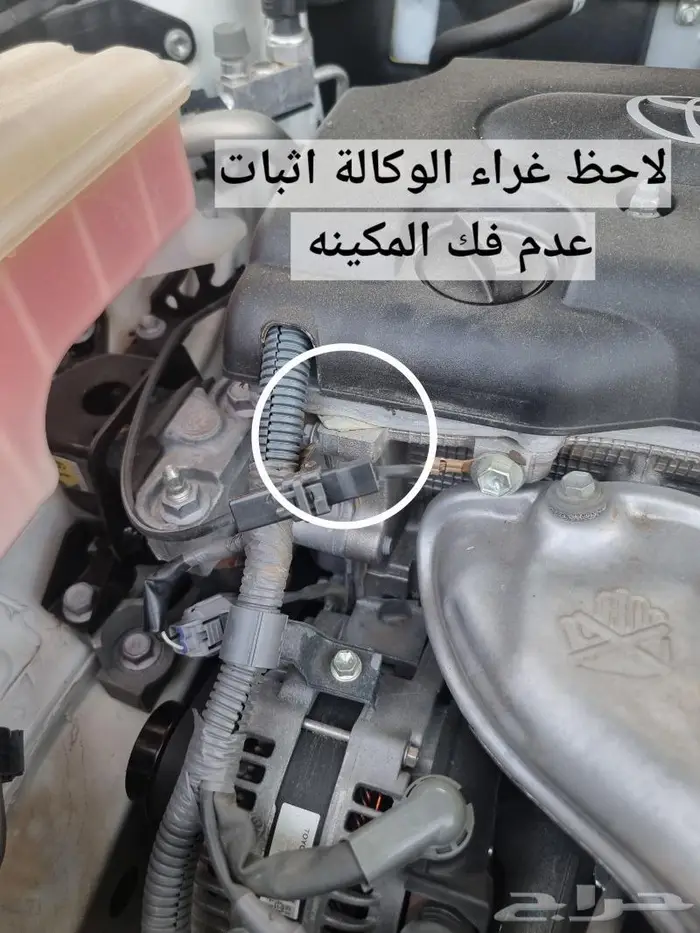 راف فور مخزن وكاله ( تم البيع) 37