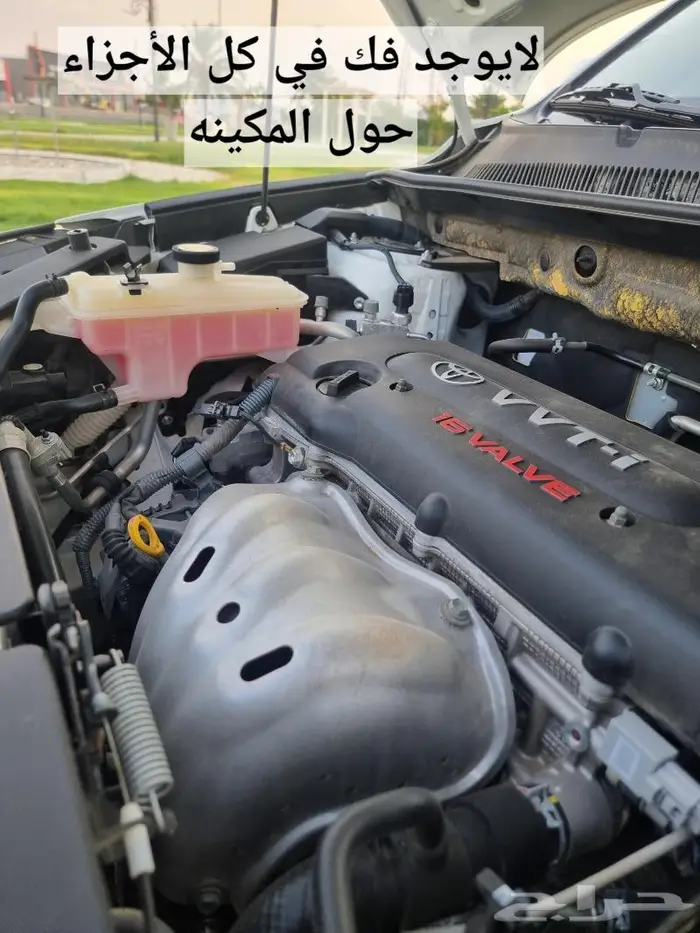 راف فور مخزن وكاله ( تم البيع) 51