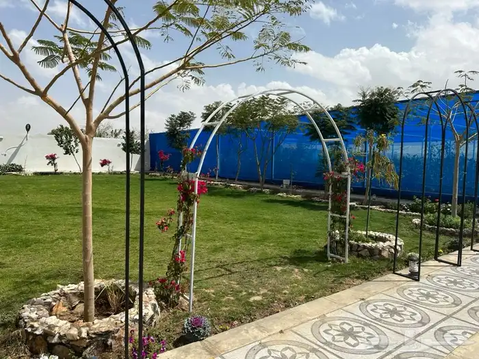 متوفر إنجيلة الخرج C 2000 6