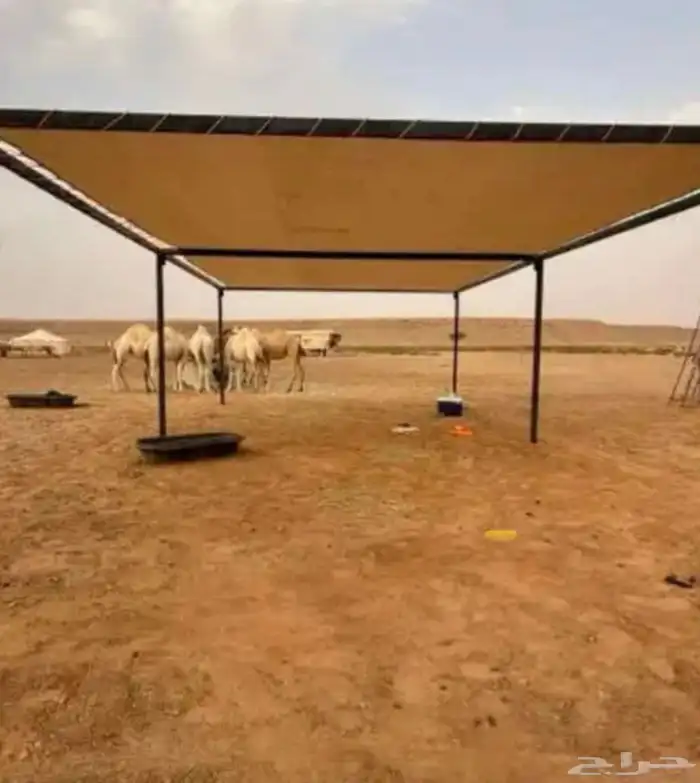 مضلات ابل وغنم وسيارات 4