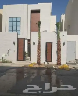 نخل واشنطني زينه للبيع 7