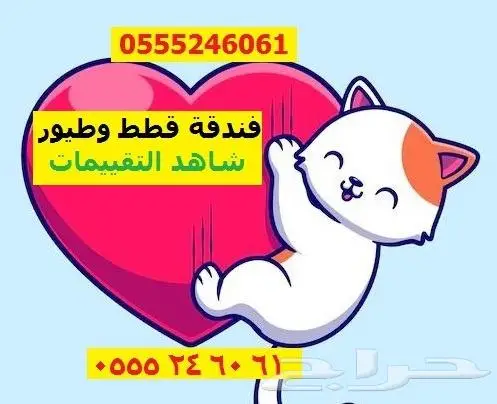شاهد التقييم - فندقة قطط 61 60 24 0555 فندقة طيور - مخرج 6 0