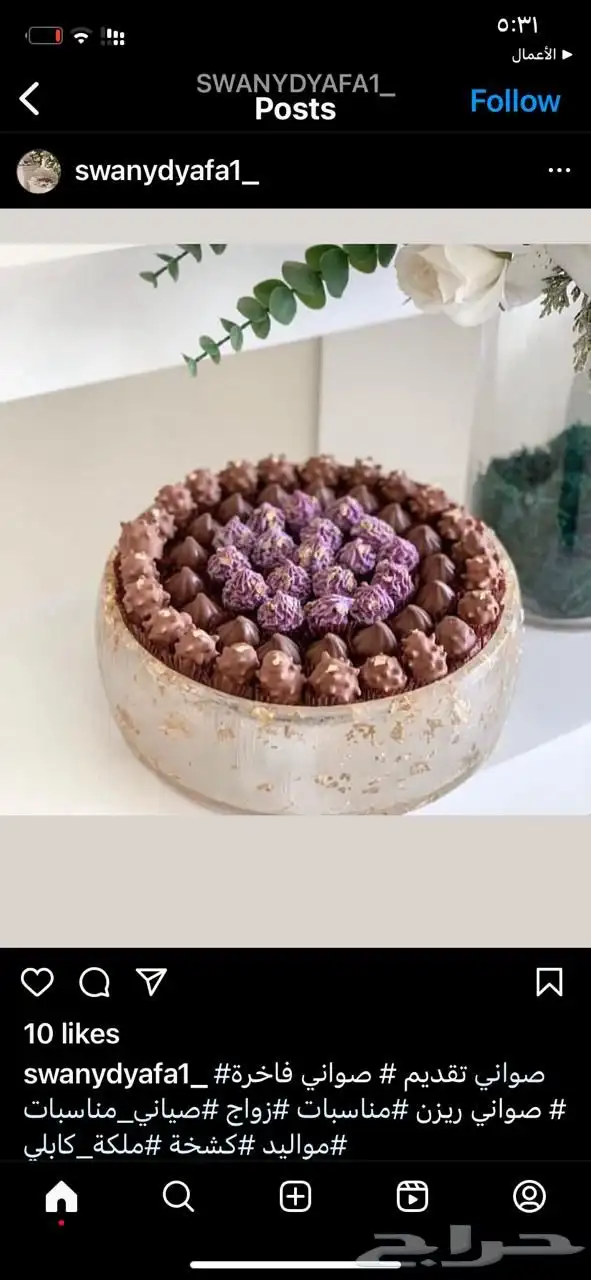 صواني ريزن عالية الجودة للبيع 7