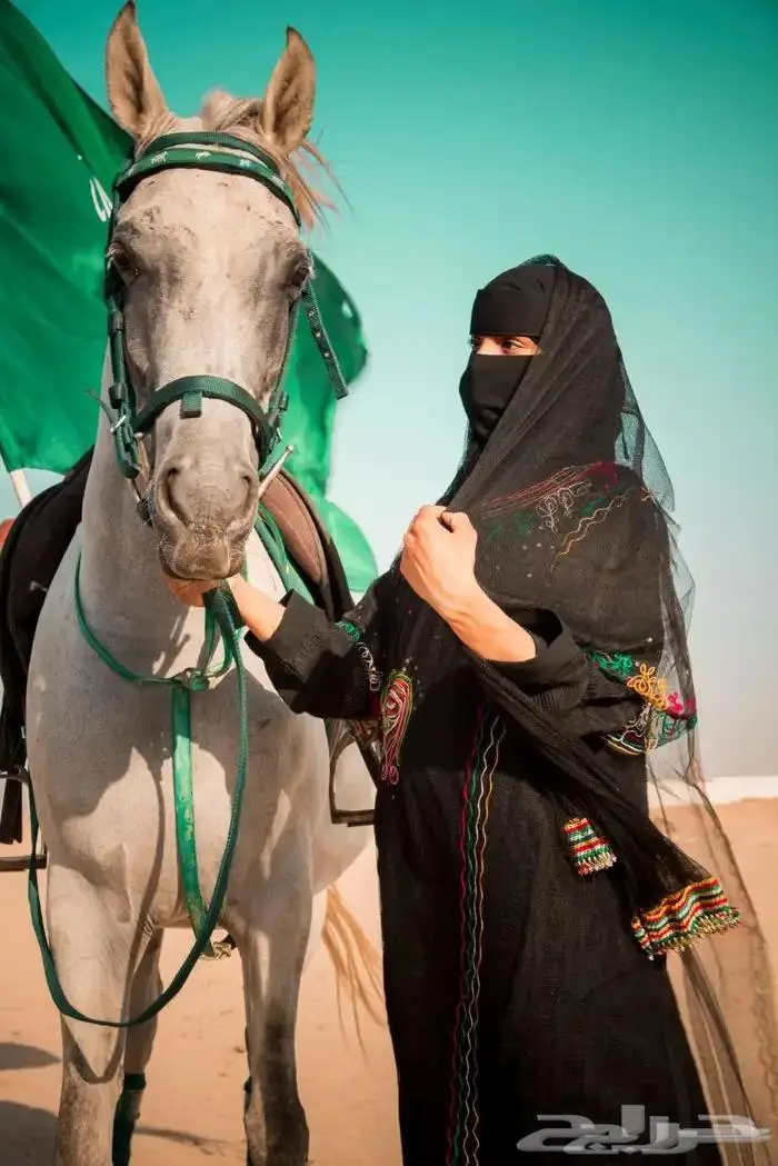 ايجار جمال وخيول 10