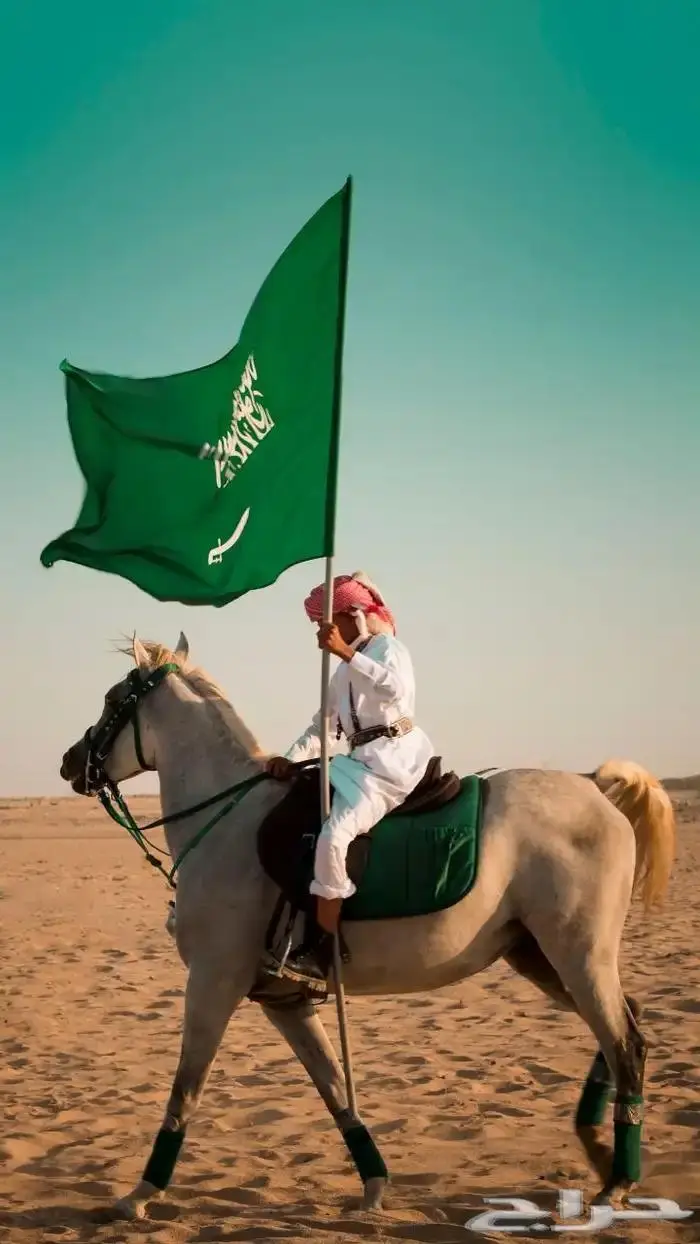 ايجار جمال وخيول 1