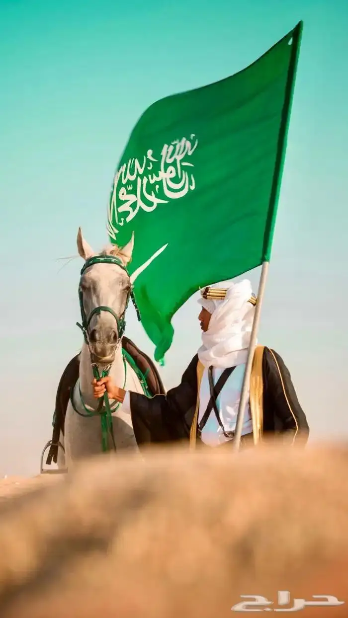 ايجار جمال وخيول 9