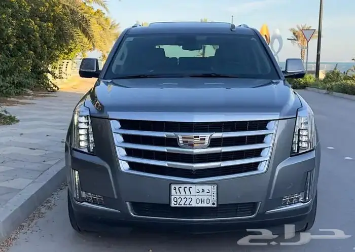معرض الوسام الجديد للسيارات المتميزه ونادره بالجبيل 39