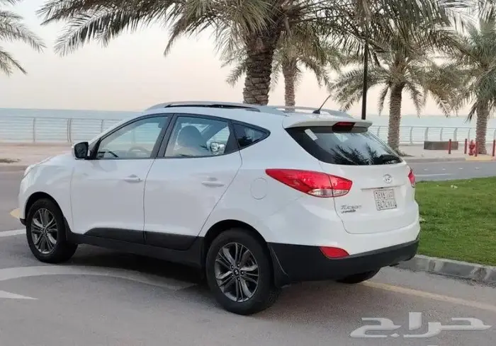معرض الوسام الجديد للسيارات المتميزه ونادره بالجبيل 43