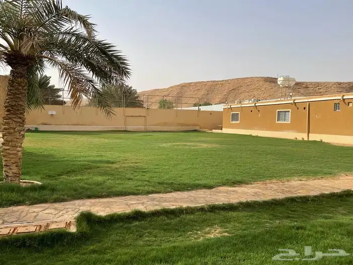 استراحة المزاحمية قريبة من الرياض للإيجار يومي 11