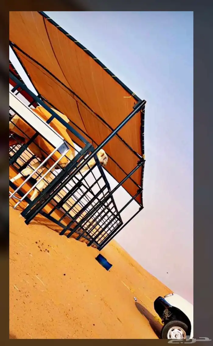 مضلات الآبل مضلت الئبل مضلا حلال 13