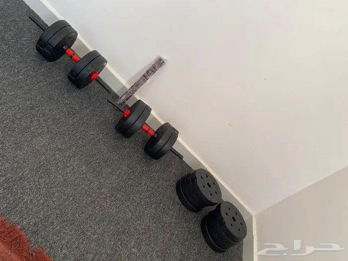 البيع دنامبل 50 كيلو 1