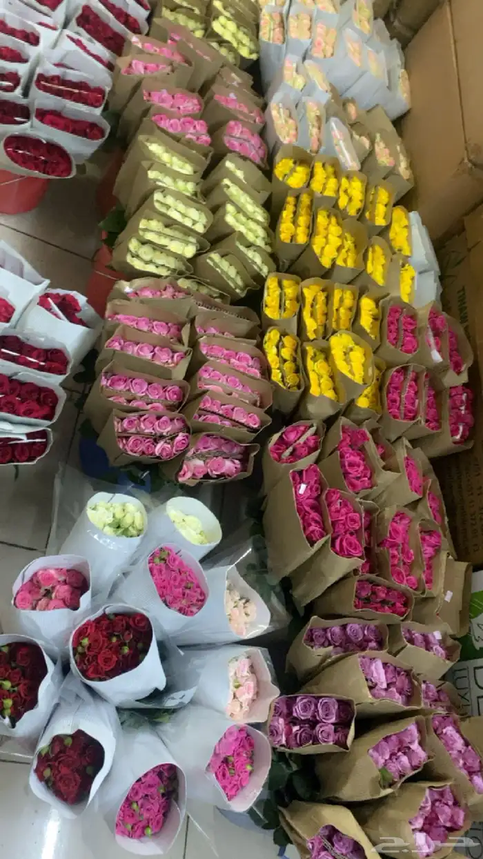 ورد بالجمله تواصل واتس 10