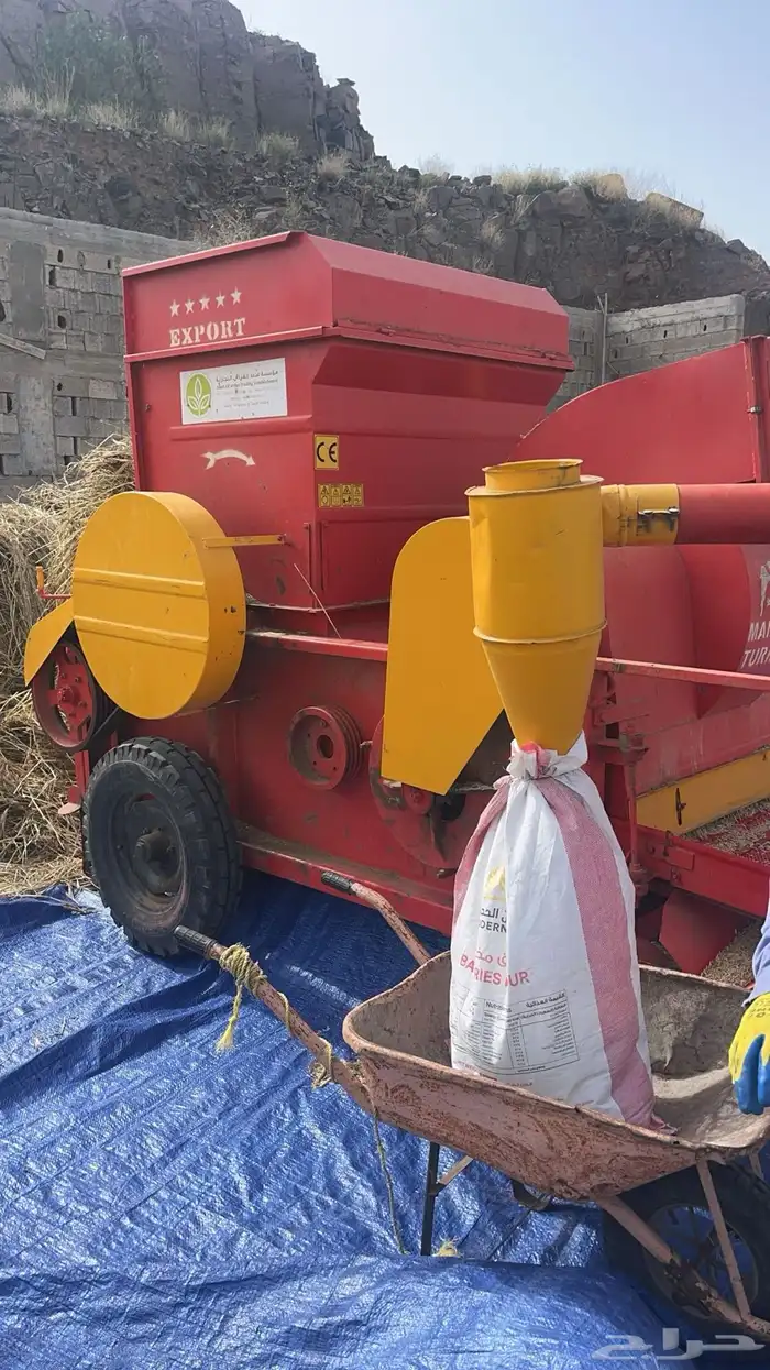 شعير بلدي نظيف للبيع من مزارعنا الخاصة والكمية محدودة 4