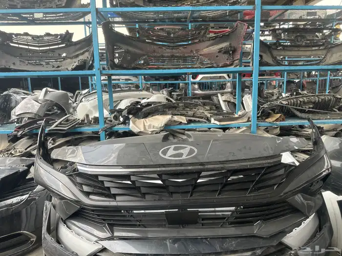 صدام امامي النترا موديل2024 0