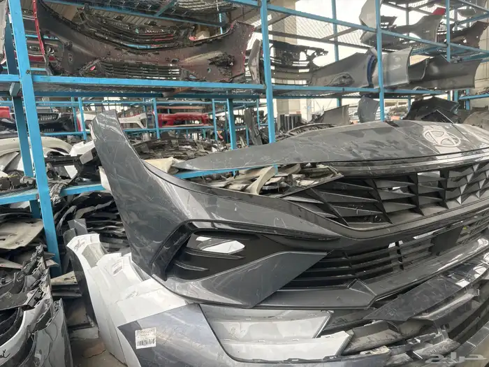 صدام امامي النترا موديل2024 1