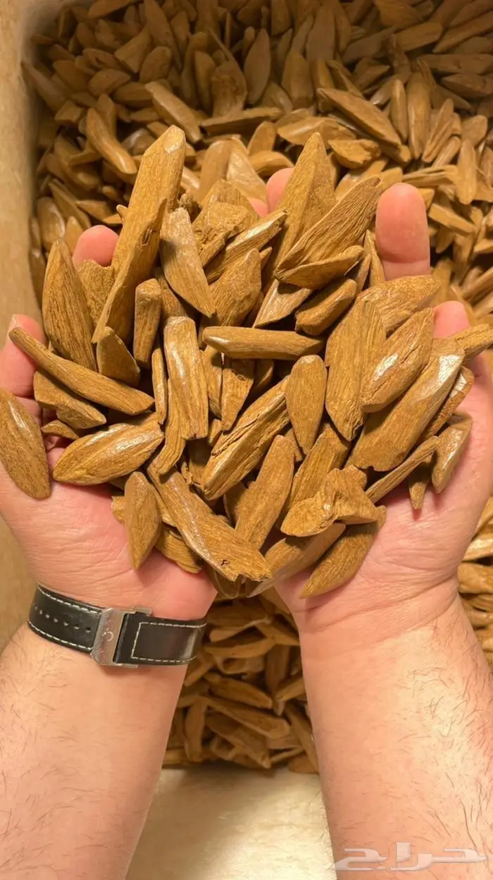 المروكي المحسن الفاخر 0