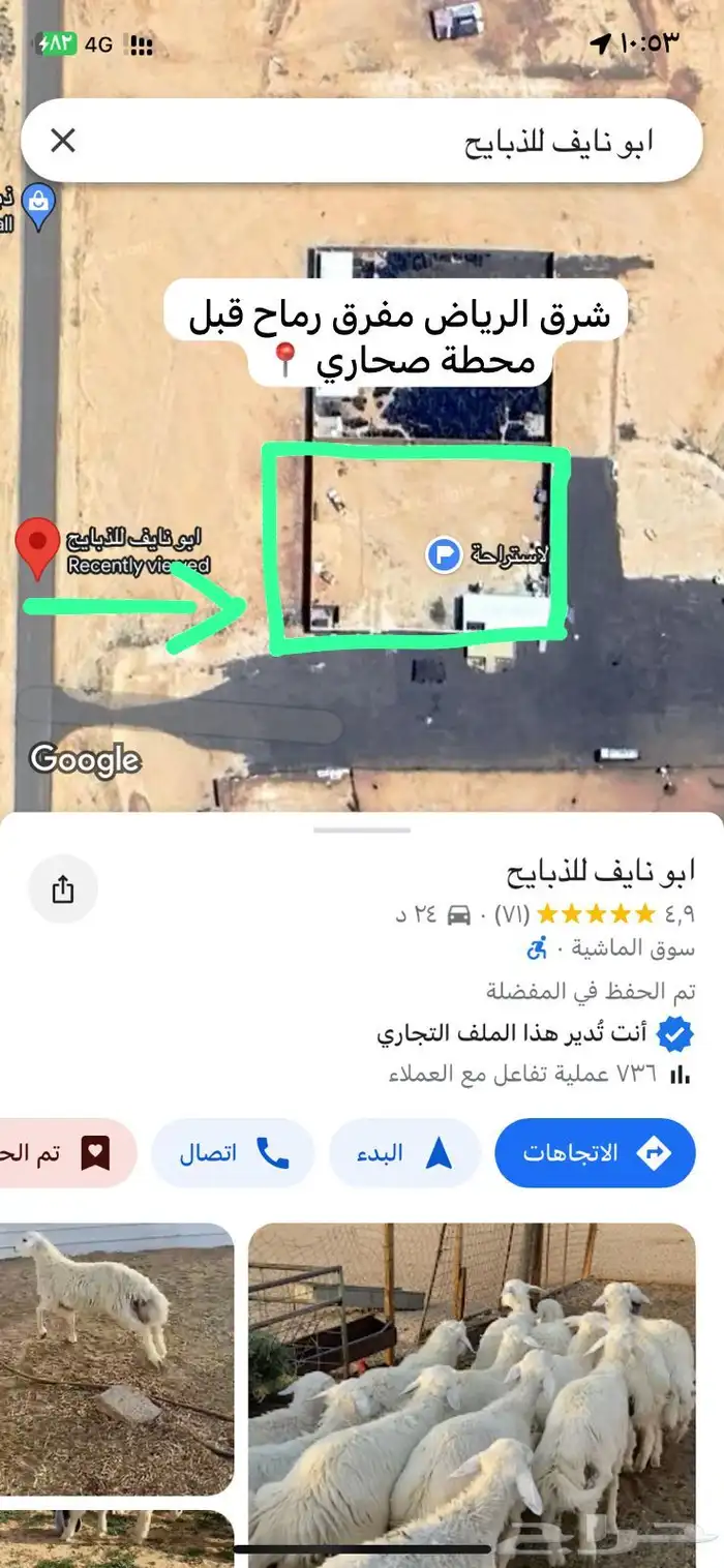 ذبايح نعيمي حري نعيمي تيوس 0