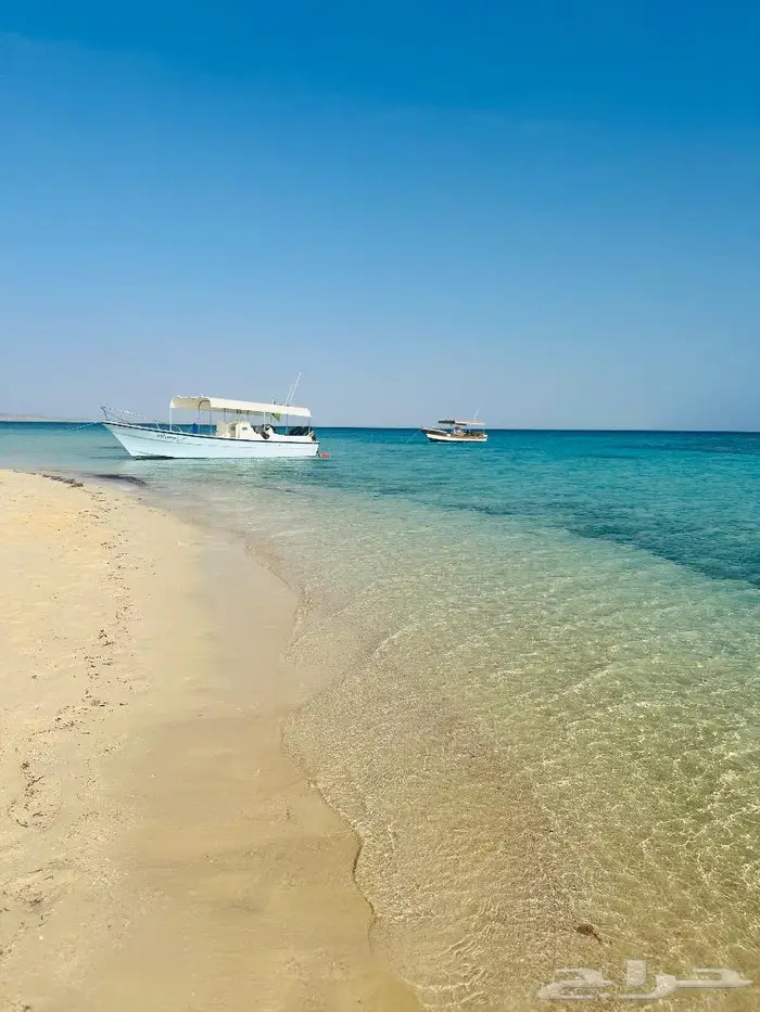 رحلات بحرية فاخرة في ينبع 6