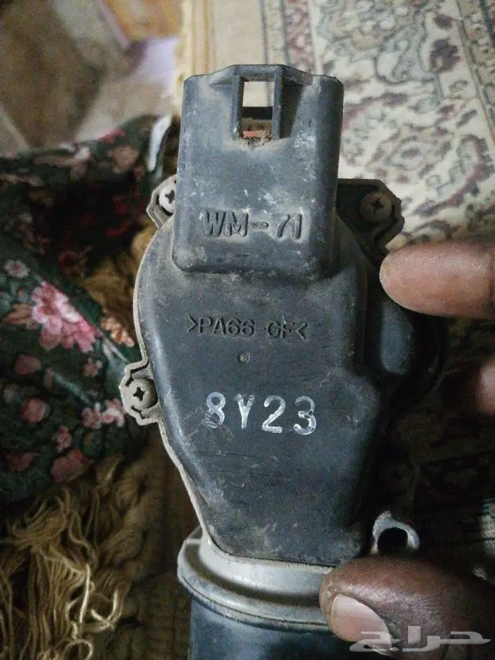 المدينة المنورة 0