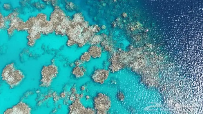 رحلات بحرية فاخرة في ينبع 3