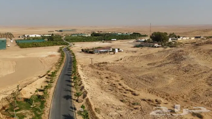 مصور درون مزارع حدايق عقارات الزلفي المجمعة القصيم الغاط 3