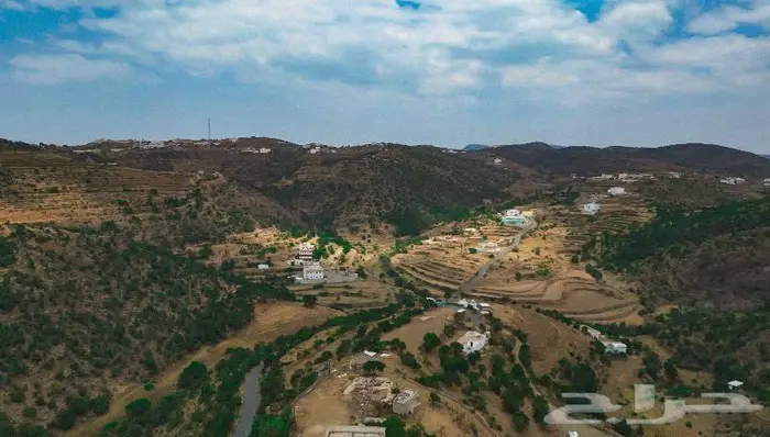 مصور درون جدة ومكة 0