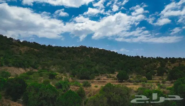 مصور درون جدة ومكة 1