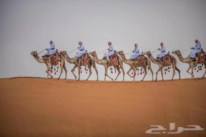 ايجار رحول (جمال) 0