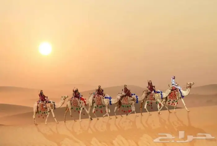 ايجار رحول (جمال) 2
