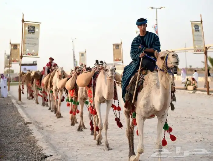 ايجار رحول (جمال) 1